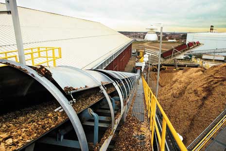 Biomass Resource Image 2