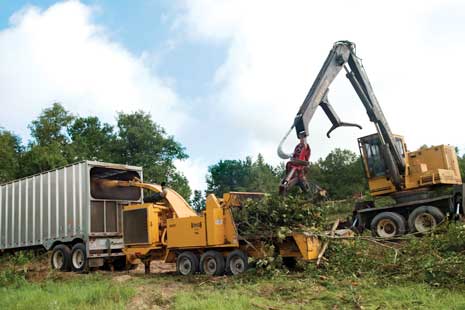 Biomass Resource Image 2