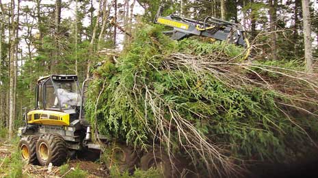 Biomass Resource Image 2