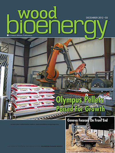 December 2012 Wood Bioenergy Cover