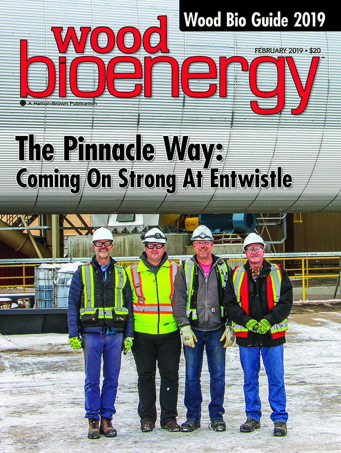 February 2019 Wood Bioenergy Cover