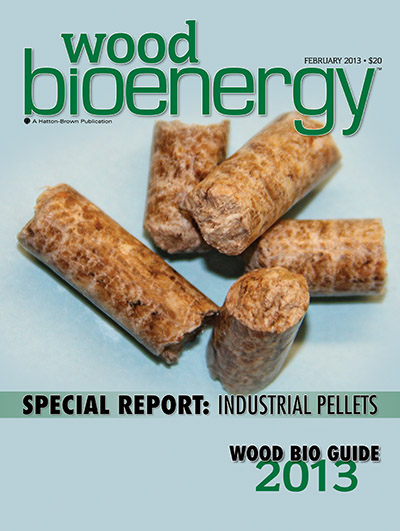 February 2013 Wood Bioenergy Cover