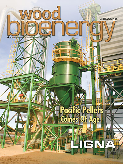 February 2013 Wood Bioenergy Cover