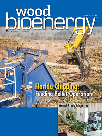 June 2013 Wood Bioenergy Cover