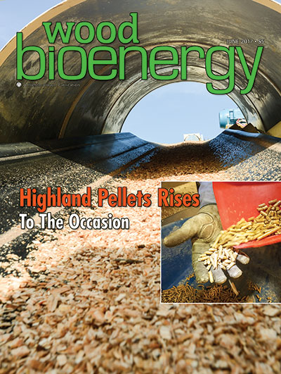April 2017 Wood Bioenergy Cover