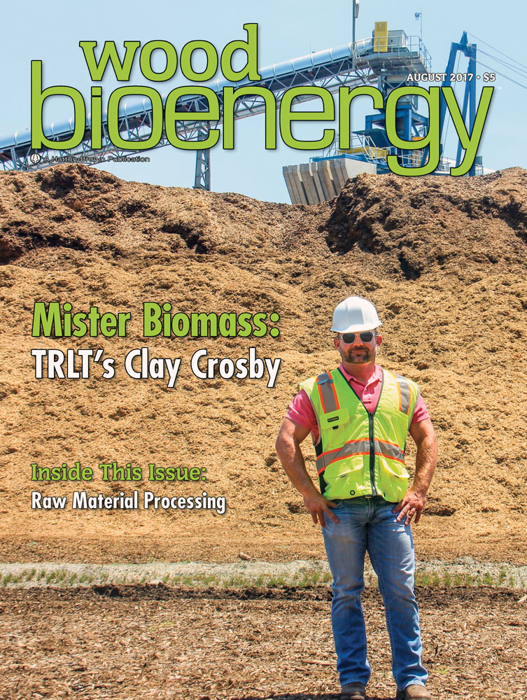 August 2017 Wood Bioenergy Cover
