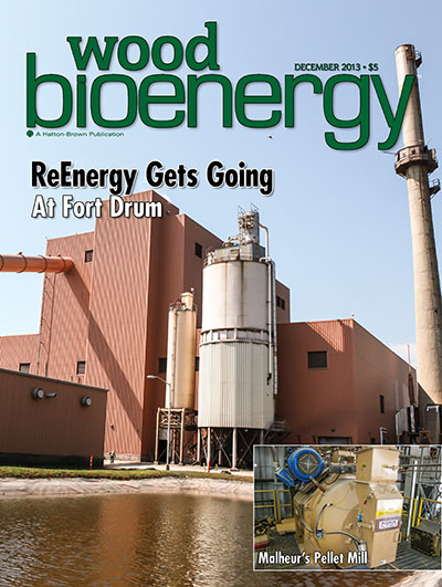 October 2013 Wood Bioenergy Cover