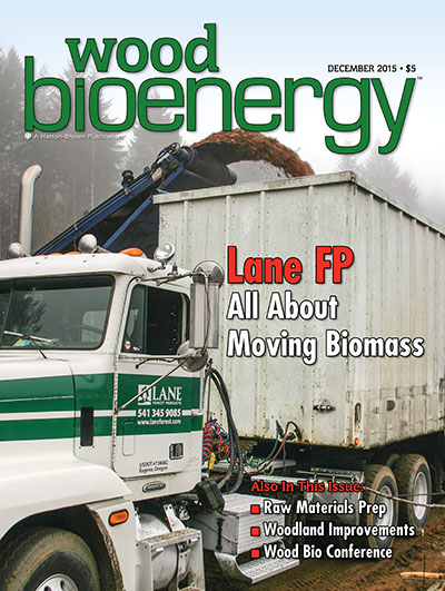 December 2015 Wood Bioenergy Cover