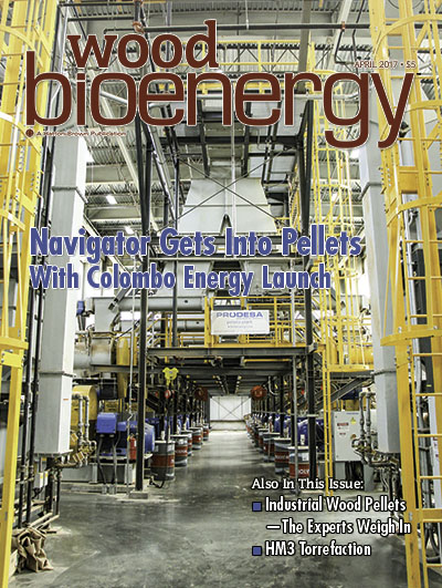 April 2017 Wood Bioenergy Cover